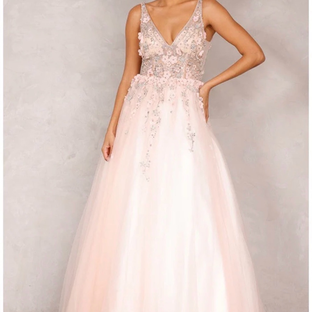 Elegant Blush V-Neck Floral Appliqu Gown